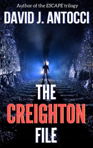 Cover of the book The Creighton File by Jonny Rigby