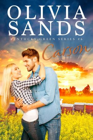 Cover of the book Carson by Cathie Linz