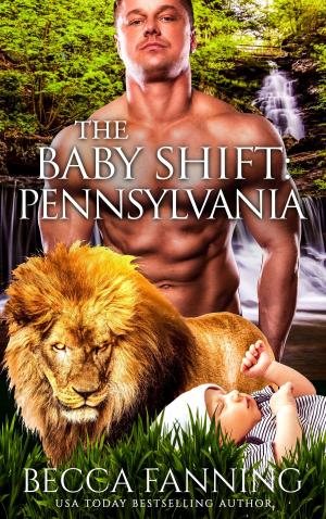 Book cover of The Baby Shift: Pennsylvania