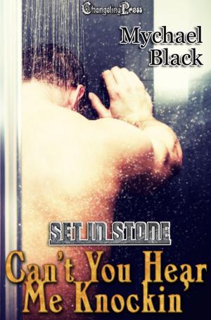 Cover of the book Can't You Hear Me Knocking by J. Hali Steele