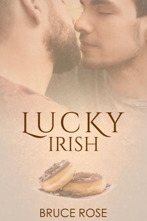 Book cover of Lucky Irish