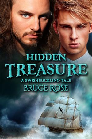 Book cover of Hidden Treasure (A Swishbuckling Tale)