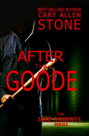 Cover of the book AFTER THE GOODE by Christine Chianti