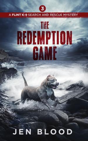 Cover of the book The Redemption Game by Nikki Haverstock