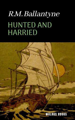Cover of the book Hunted and Harried by Lee Ness
