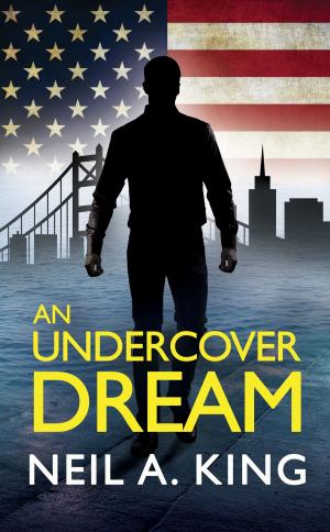 Cover of the book An Undercover Dream by joel wilson