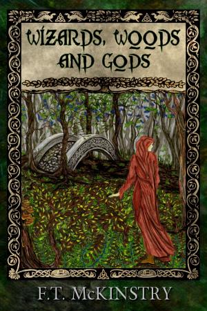 Book cover of Wizards, Woods and Gods