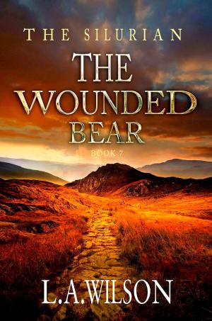 Cover of the book The Wounded Bear by Anna B. Goode