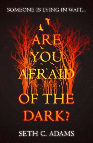 Cover of the book Are You Afraid of the Dark? by Ada Adverse