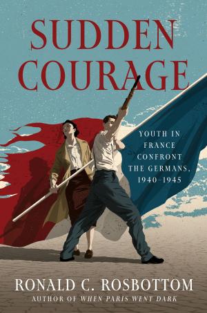 Cover of the book Sudden Courage by Jack Fairweather