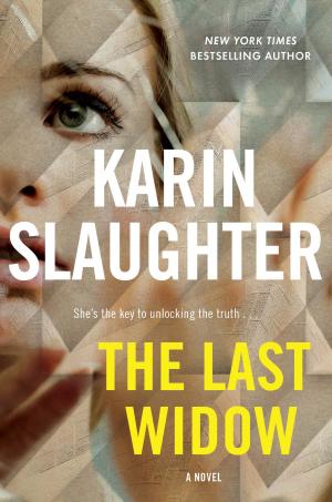 Cover of the book The Last Widow by Christopher Moore, Ian Corson