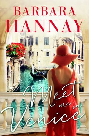 Cover of the book Meet Me in Venice by Anne McCullagh Rennie