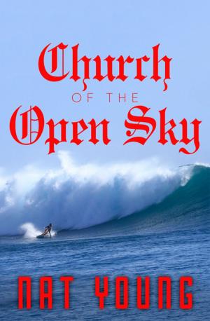 Cover of the book Church of the Open Sky by Tony Perry