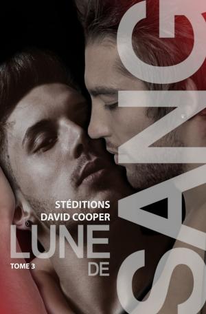 Cover of the book Lune de sang - Tome 3 by Kyrian Malone, Jamie Leigh