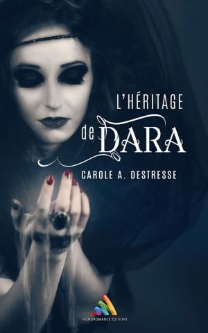 Cover of the book L'héritage de Dara by Audrey Girard de Gabbia
