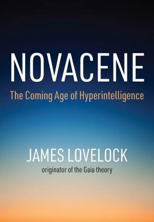 Cover of the book Novacene by 