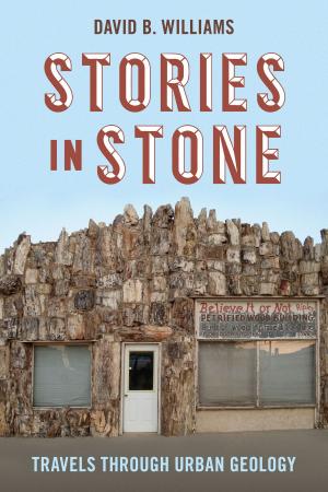 Book cover of Stories in Stone