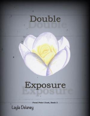 bigCover of the book Double Exposure - Focal Point Duet, Book 2 by 