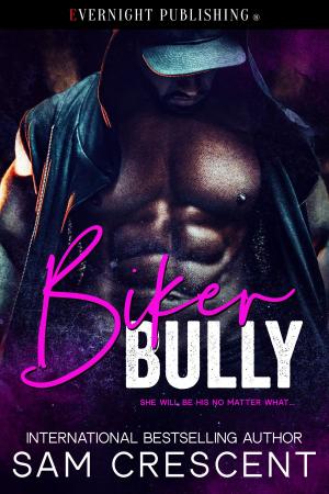 Cover of the book Biker Bully by Daisy Philips