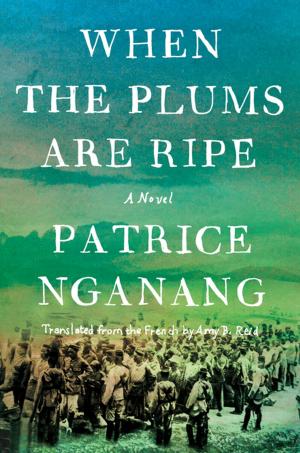 Cover of the book When the Plums Are Ripe by Nadifa Mohamed