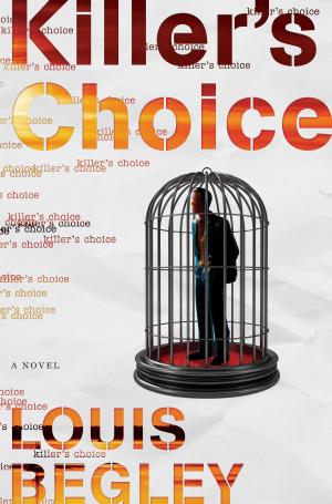 Cover of the book Killer's Choice by Karen Cogan
