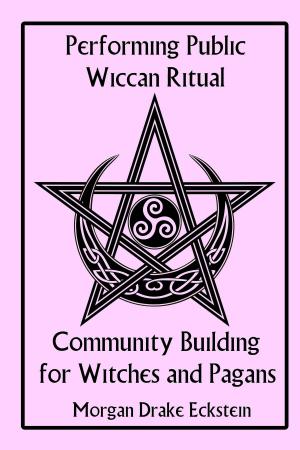 Cover of Performing Public Wiccan Ritual: Community Building for Witches and Pagans