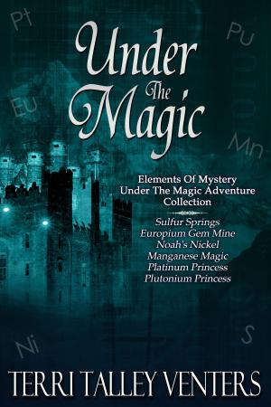 Cover of the book Under The Magic by G.M. Reinfeldt