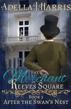 Cover of the book The Merchant of Reeves Square by Robert Joseph Greene