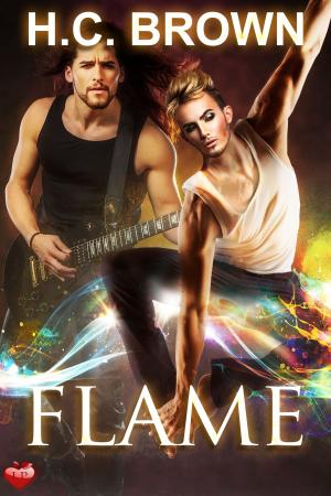 Cover of the book Flame by L.J. Fleming
