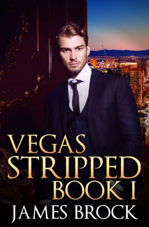 Cover of the book Vegas Stripped: Book 1 by Y. M. Nelson