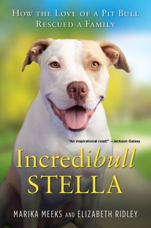 Cover of the book Incredibull Stella by Sacha Z. Scoblic