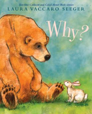 Cover of the book Why? by Emily Arnold McCully
