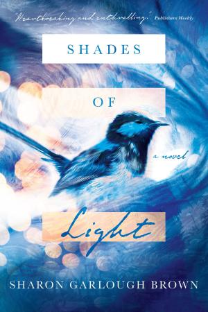 Cover of the book Shades of Light by Jonathan K. Dodson