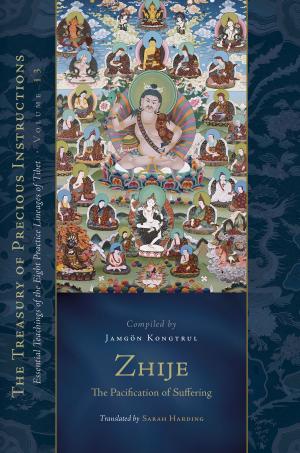 Book cover of Zhije: The Pacification of Suffering