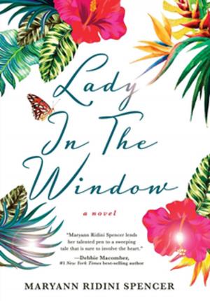 bigCover of the book Lady in the Window by 
