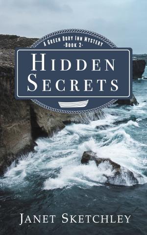 bigCover of the book Hidden Secrets by 