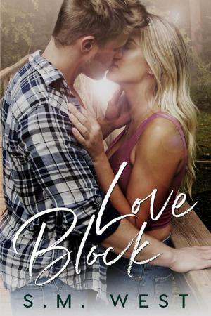 Cover of the book Love Block by Voirey Linger, Vee Linger