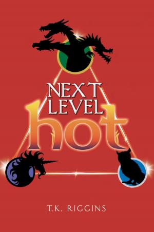 Cover of Next Level Hot by T.K. Riggins, Franchise Publishing