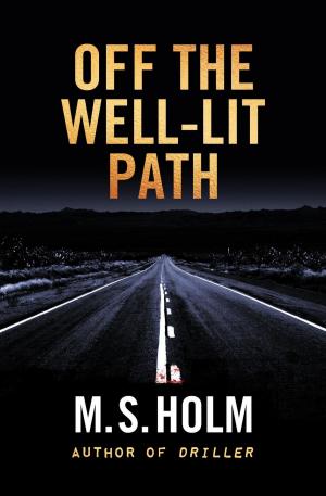 Cover of the book Off The Well-Lit Path by David Mack