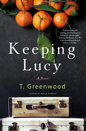 Book cover of Keeping Lucy