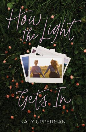 bigCover of the book How the Light Gets In by 