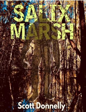 Cover of the book Salix Marsh by Vedanta Kesari