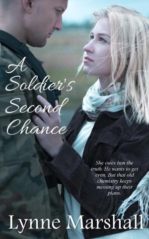 Cover of the book A Soldier's Second Chance by Megan Mitcham