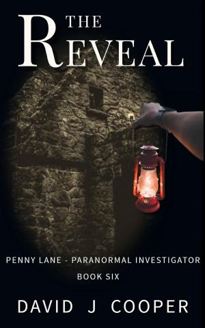 Cover of the book The Reveal by Lilith T. Bell