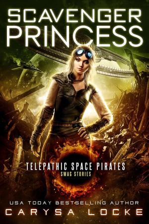 Book cover of Scavenger Princess