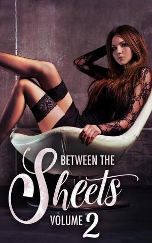 Book cover of Between the Sheets: Original Volume 2