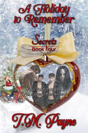 Cover of A Holiday to Remember: Secrets Book Four