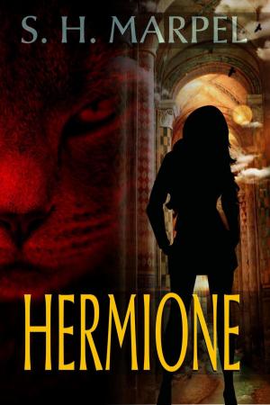 Cover of the book Hermione by J. R. Kruze