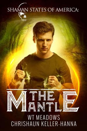Book cover of The Mantle