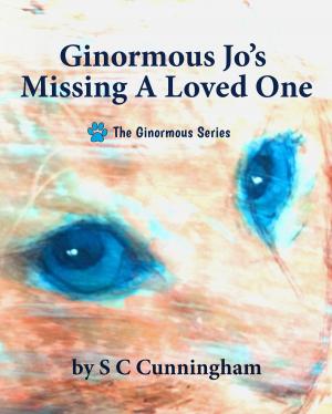 Book cover of Ginormous Jo's Missing A Loved One